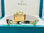 Rolex Daytona 116598 Saco watch