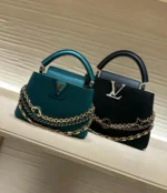 Louis Vuitton Capucines BB Mini Capucines Handbags