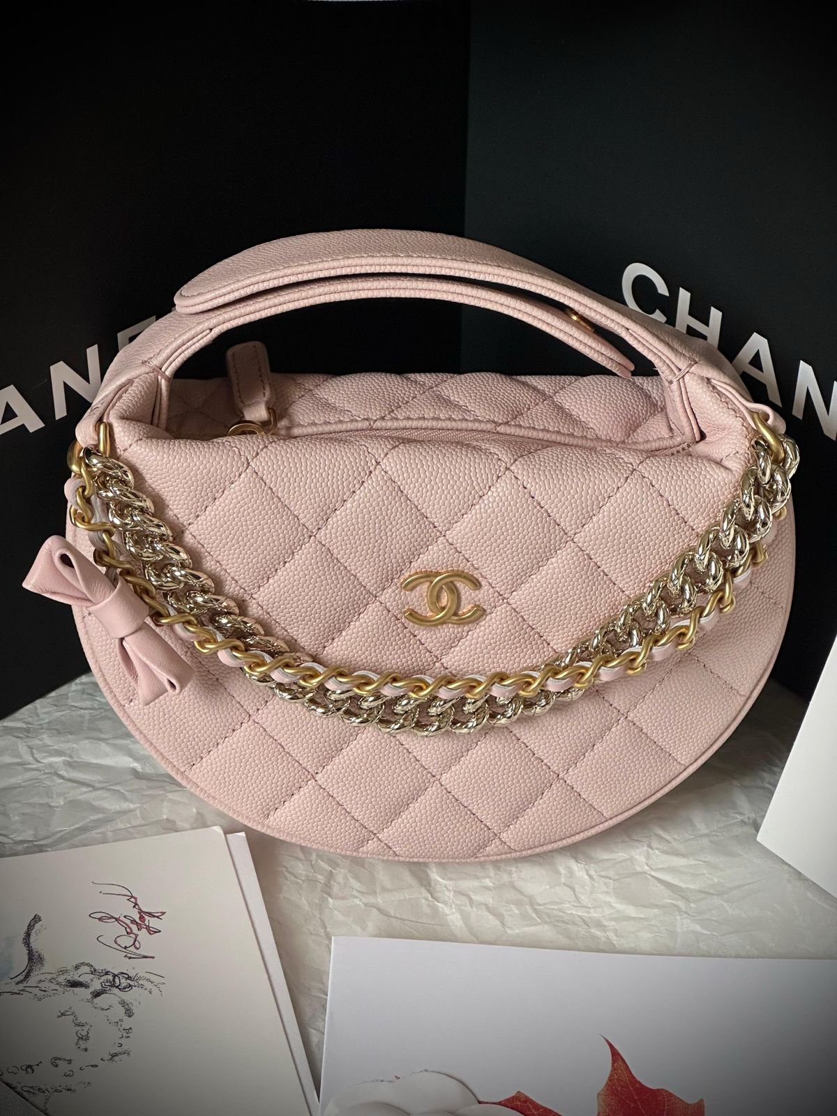 Timeless Chanel Classic Quilted Leather Flap Bag Chanel Classic Flap Quilted Leather Gold Chain Bag