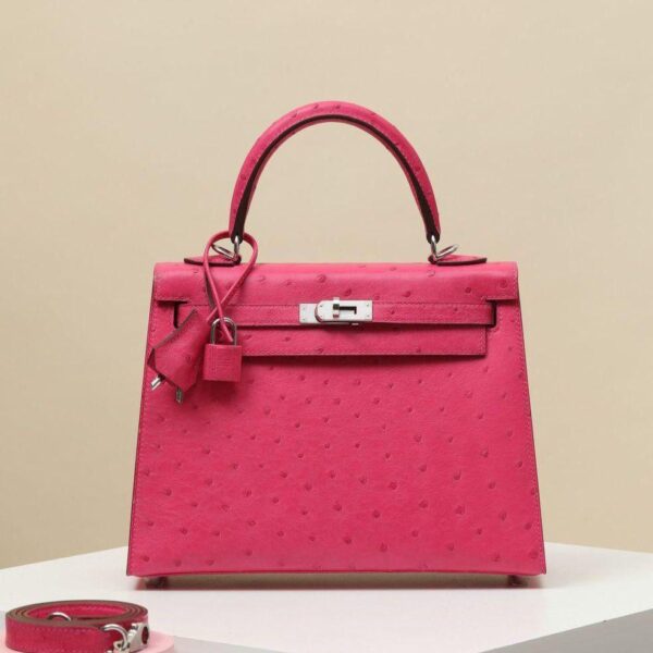 Hermès Kelly Sellier 25 Ostrich Exotic Leather Palladium Hardware