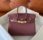 Hermès Birkin 30 Mousse Ostrich Exotic Leather Handbag